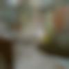 Female Photo - Rohini