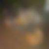 Chatrapur Male Photo - Sony