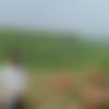 Bhilwara Male, photo - Bhupendra