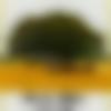 Male Photo - Rokohunterspj