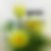 Male Photo - Sudhanshu