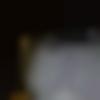 Male Photo - Ragula