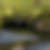 woman seeking men Palladam near me photo - Mqueen