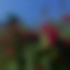 woman seeking men Kokrajhar near me photo - Sagarika