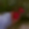 woman seeking men Barh near me photo - Snehal