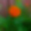 Single Female - Madhumita