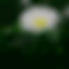 woman seeking men Sangli near me photo - Riya