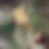 woman seeking men Karimganj near me photo - Nisha