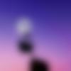 Single Female - Achutha