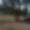 Nagercoil Male Photo - Jegan85