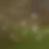 woman seeking men Pehowa near me photo - Nini