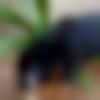 woman seeking men Panvel near me photo - Shwetuu