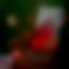 woman seeking men Gola Gokarannath near me photo - Najiya