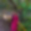 woman seeking men Thrissur near me photo - Sreejitha