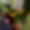 woman seeking men Thalassery near me photo - Deepa
