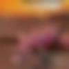 woman seeking men Kumta near me photo - Pavithra