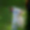 woman seeking men Kottayam near me photo - ??????