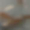 woman seeking men Itanagar near me photo - Juliana