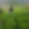 Male Photo - Arunaru525