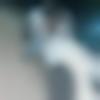 Male Photo - Munna