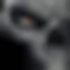Male Photo - Sk