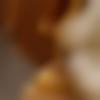 Female Photo - Asmita