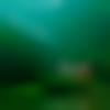 woman seeking men Sangola near me photo - Sripriya23