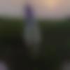 Single Female - Srini