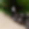Dholka Male Photo - Binod