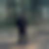 Male Photo - Rohit