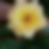 woman seeking men Amalner near me photo - Sakshi