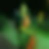 woman seeking men Halvad near me photo - Anima