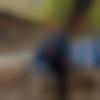 Male Photo - Shekarrakehs
