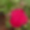woman seeking men Vizag near me photo - Sakshi