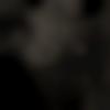 Male Photo - Aman
