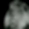 Male Photo - Chethan