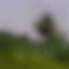 woman seeking men Shirdi near me photo - Jenny