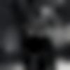 Single Male - Nasir