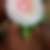 Obra Male Photo - Vamshi