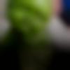 woman seeking men Kambam near me photo - Shreya