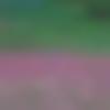 woman seeking men Ratangarh near me photo - Sakshi