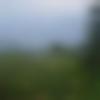 Male Photo - Samir