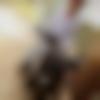 Male Photo - Dulare