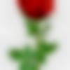 woman seeking men Baruipur near me photo - Rani
