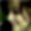 woman seeking men Bapatla near me photo - Vineetha