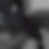 woman seeking men Sahnewal near me photo - Preet