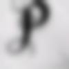 woman seeking men Alirajpur near me photo - Puspita