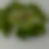 Male Photo - Nirkomol