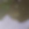 Male Photo - Arbaz