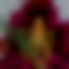 Single Female - Sangeeta